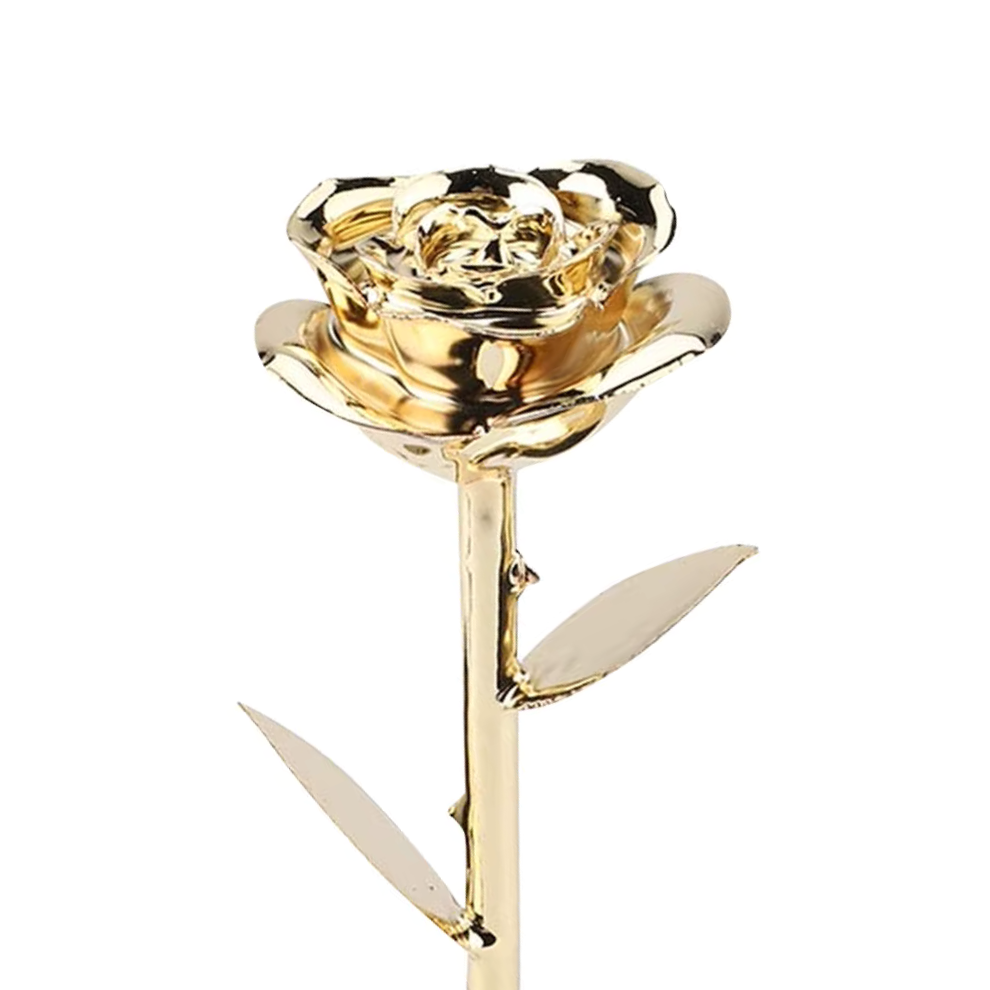 24K Gold Rose
