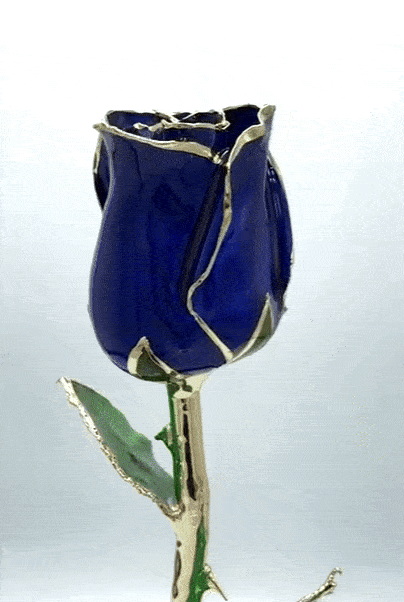 (*Autumn Sale*) 24K Gold Dipped Tulip W/ Gift Box