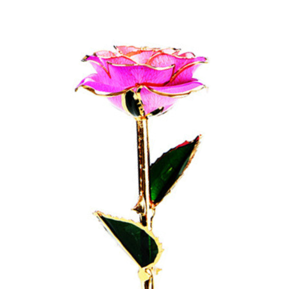 Bright Pink