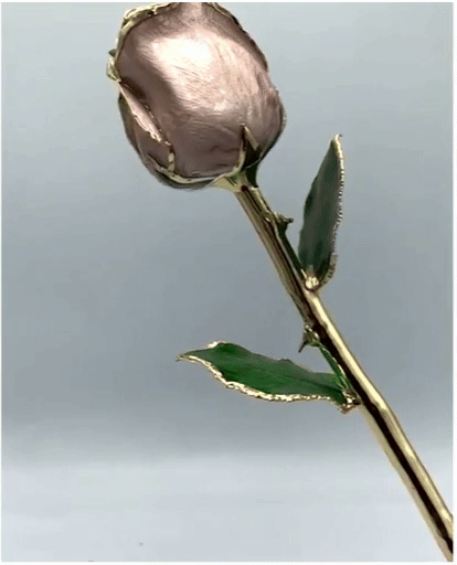 (*Spring Sale*) 24K Gold Dipped Tulip W/ Gift Box