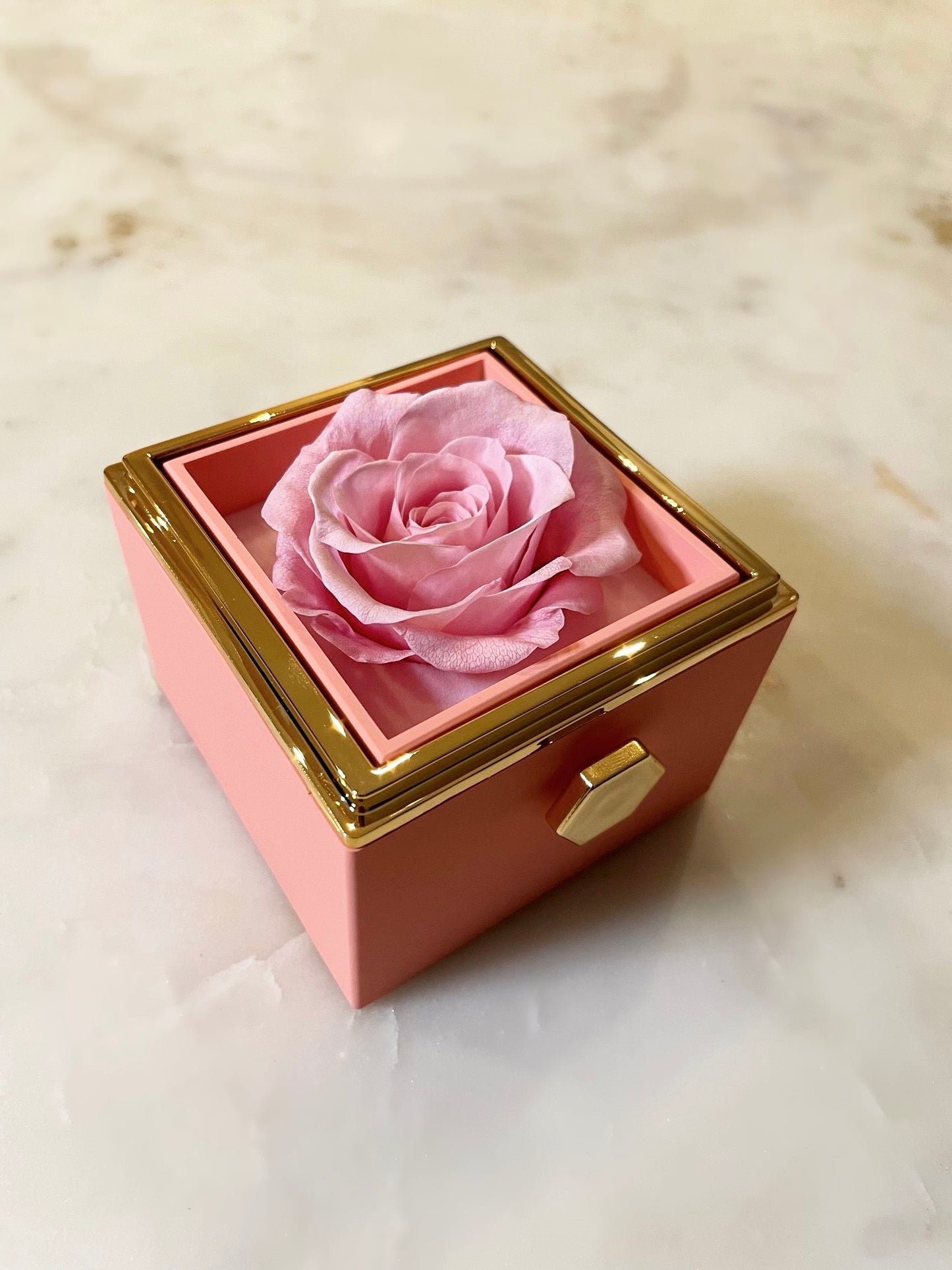 (*Autumn Sale*) Eternal Rose Box Set W/ Engraved Necklace & Eternal Rose