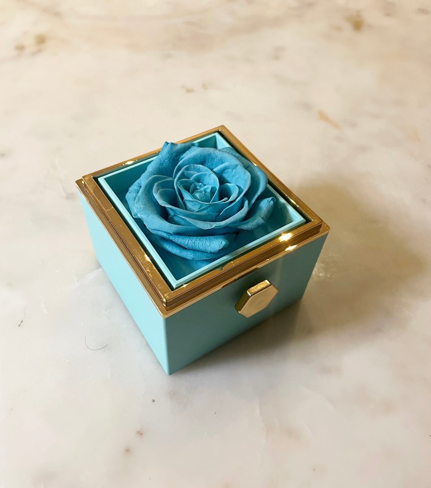 (*Autumn Sale*) Eternal Rose Box Set W/ Engraved Necklace & Eternal Rose