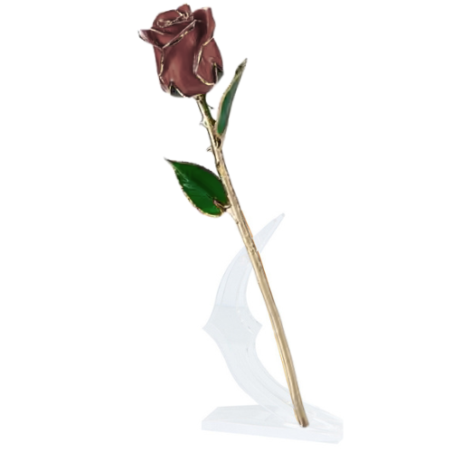 (*Summer Sale*) 24K Gold Dipped Tulip W/ Gift Box