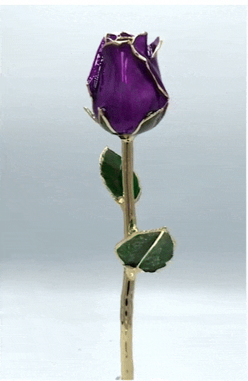 (*Spring Sale*) 24K Gold Dipped Tulip W/ Gift Box