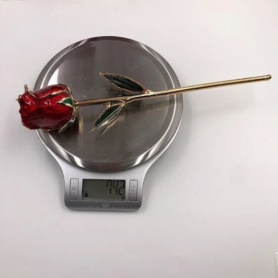 (*Spring Sale*) 24K Gold Dipped Tulip W/ Gift Box