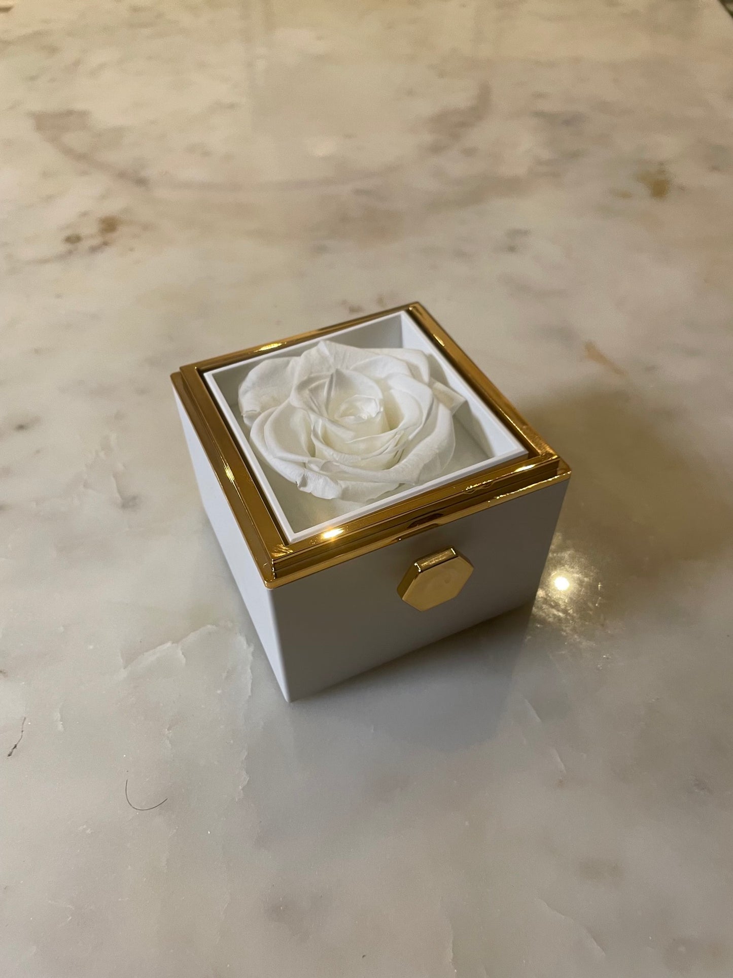 (*Autumn Sale*) Eternal Rose Box Set W/ Engraved Necklace & Eternal Rose