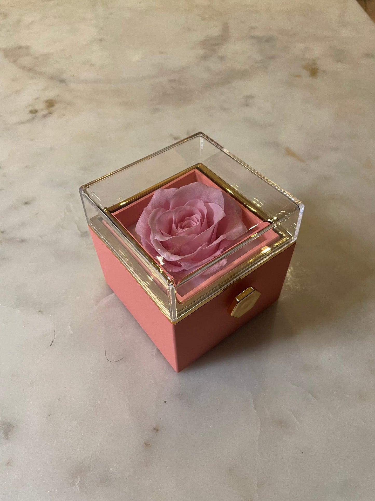 (*Autumn Sale*) Eternal Rose Box Set W/ Engraved Necklace & Eternal Rose