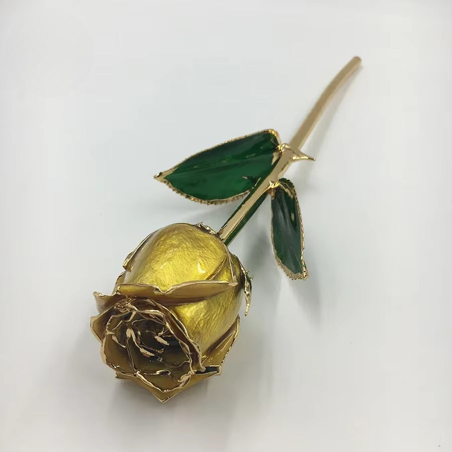 (*Autumn Sale*) 24K Gold Dipped Tulip W/ Gift Box