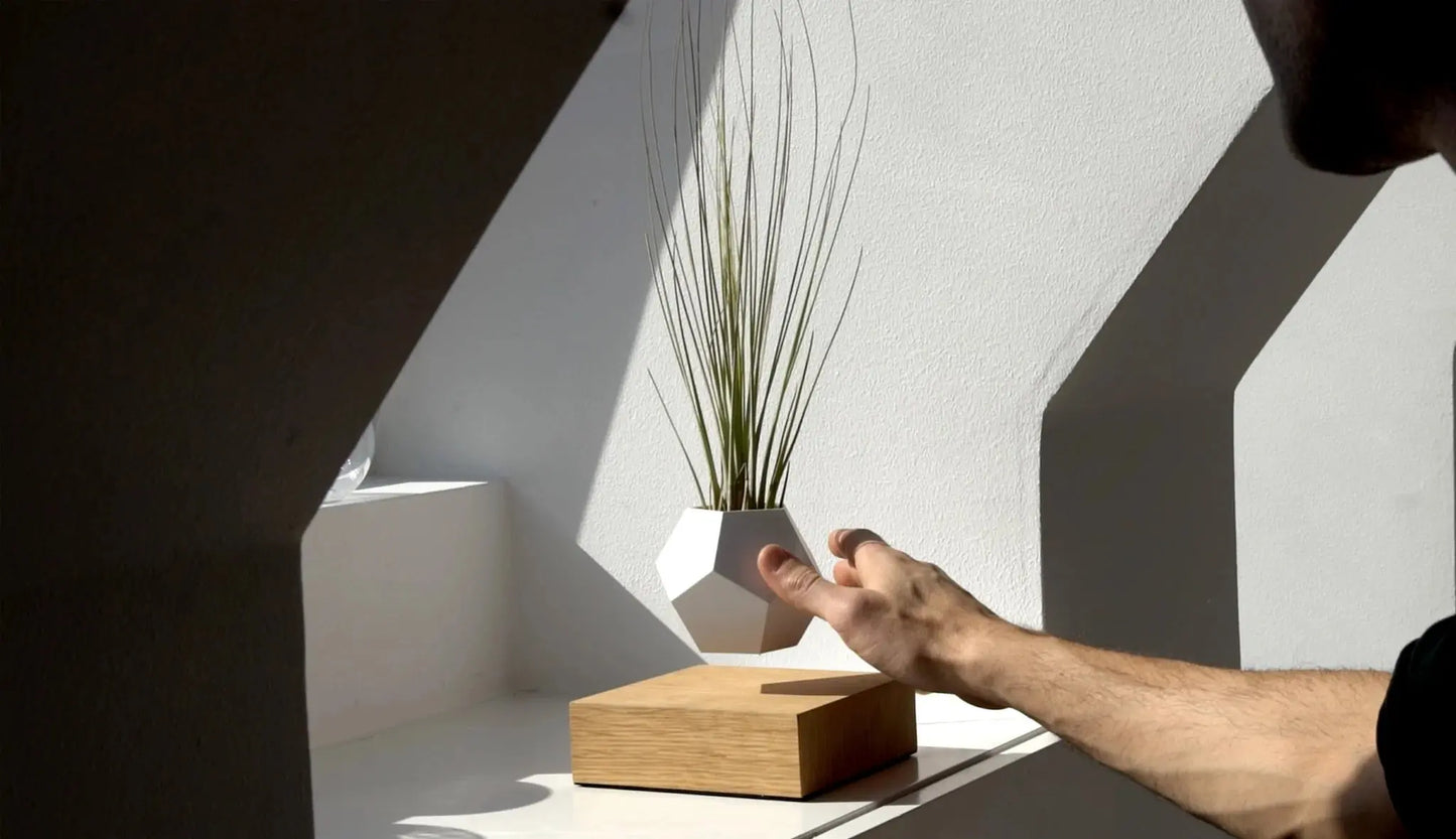 (*Summer Sale*) Air Bonsai Levitating Plant Pot