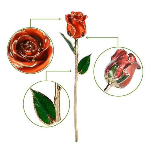 (*Spring Sale*) 24K Gold Dipped Tulip W/ Gift Box