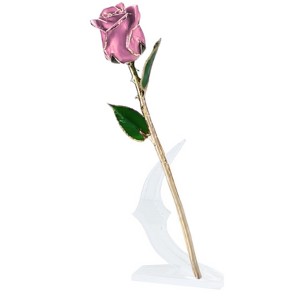 (*Summer Sale*) 24K Gold Dipped Tulip W/ Gift Box