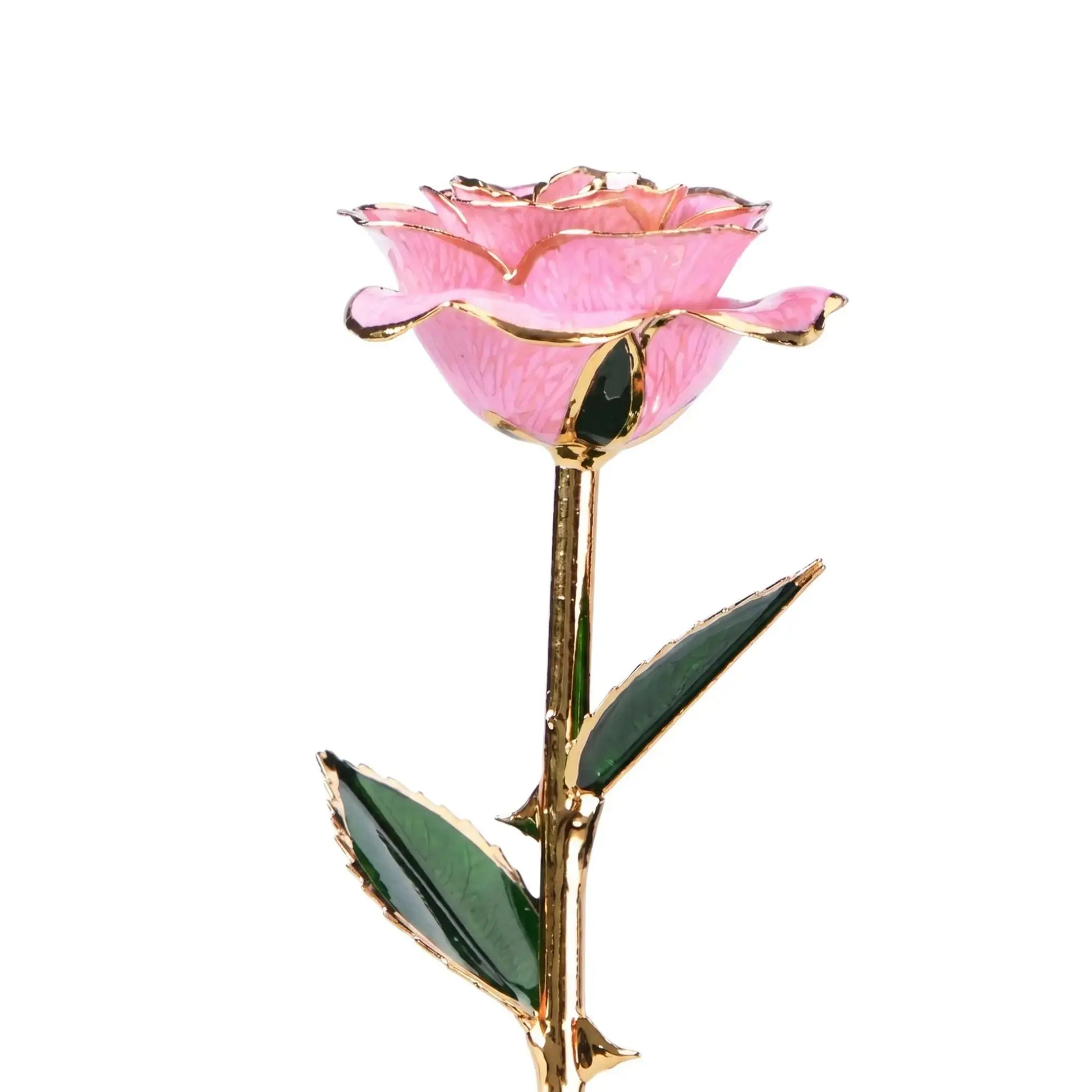 (*Spring Sale*) Eternal 24K Gold Dipped Rose With Gift Box 