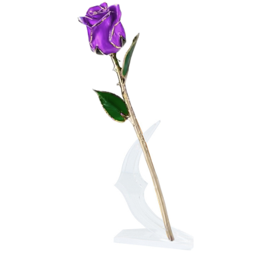 (*Summer Sale*) 24K Gold Dipped Tulip W/ Gift Box