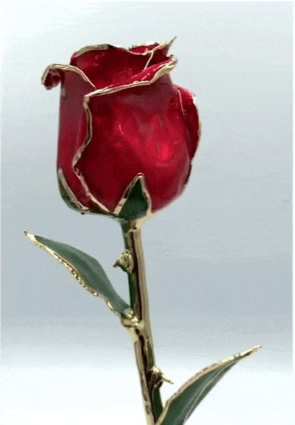 (*Spring Sale*) 24K Gold Dipped Tulip W/ Gift Box