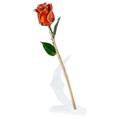 (*Summer Sale*) 24K Gold Dipped Tulip W/ Gift Box