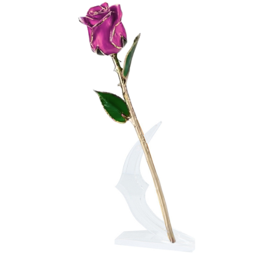 (*Summer Sale*) 24K Gold Dipped Tulip W/ Gift Box