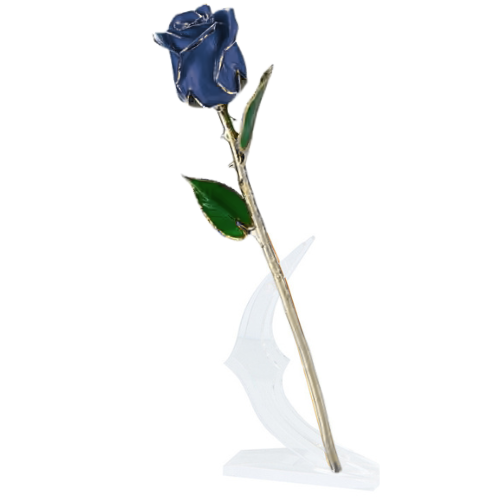 (*Summer Sale*) 24K Gold Dipped Tulip W/ Gift Box