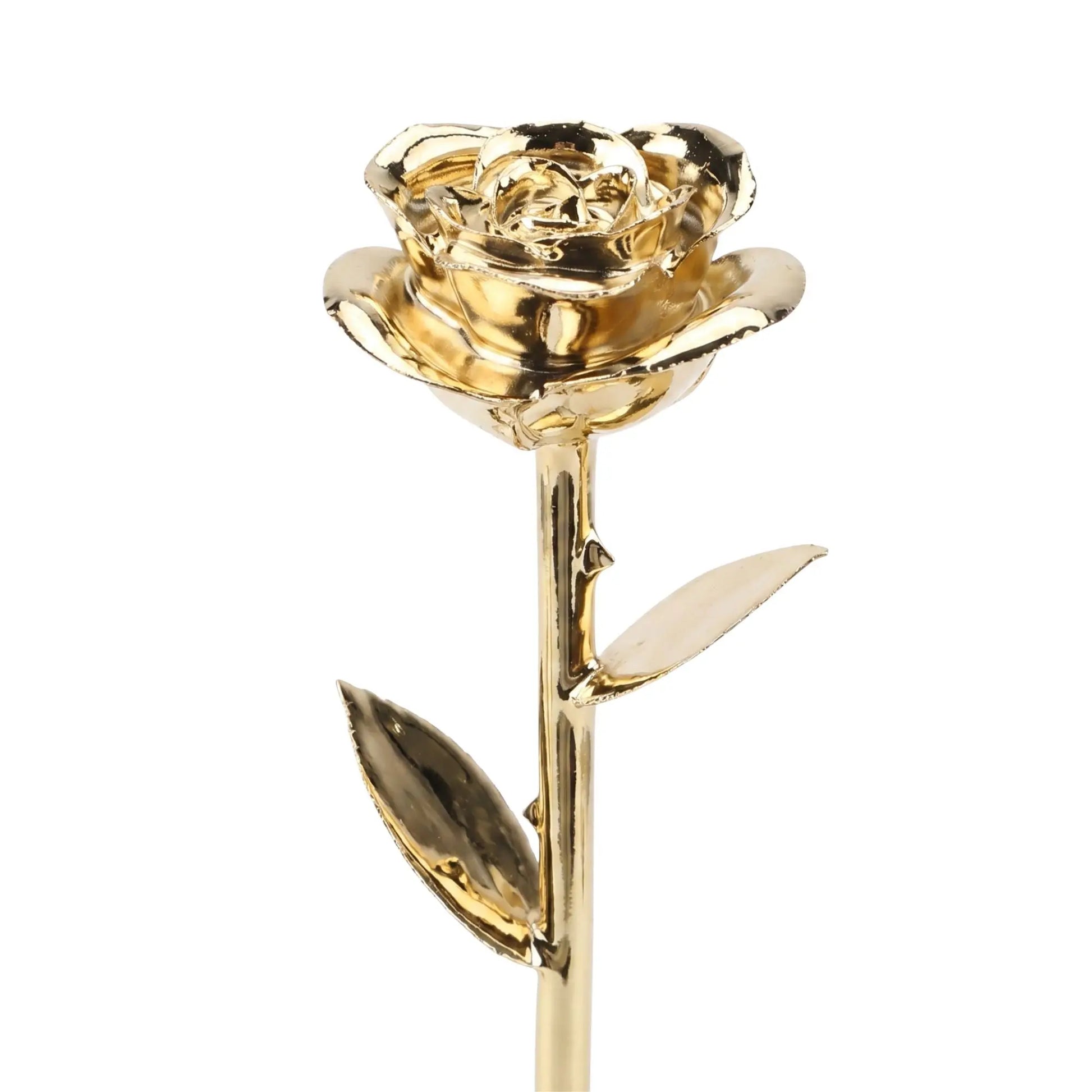 24K Gold Rose