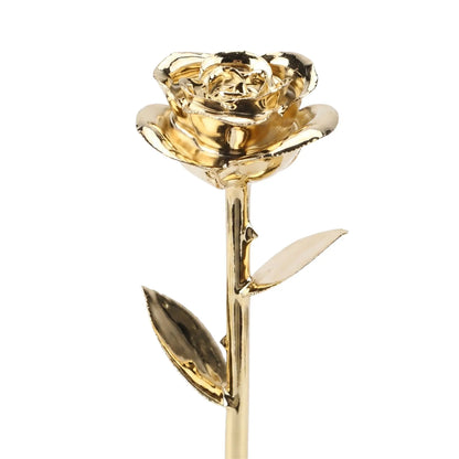 24K Gold Rose