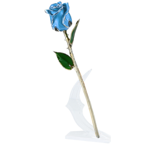 (*Summer Sale*) 24K Gold Dipped Tulip W/ Gift Box