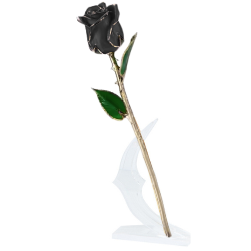 (*Summer Sale*) 24K Gold Dipped Tulip W/ Gift Box