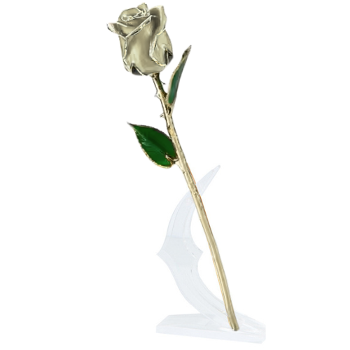 (*Summer Sale*) 24K Gold Dipped Tulip W/ Gift Box