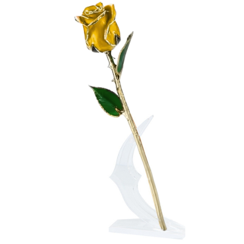 (*Summer Sale*) 24K Gold Dipped Tulip W/ Gift Box
