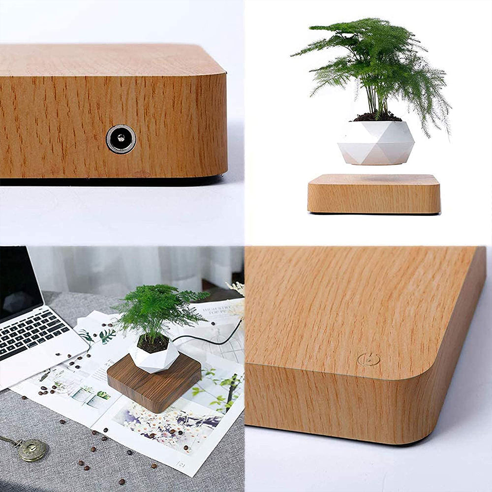 (*Spring Sale*) Air Bonsai Levitating Plant Pot