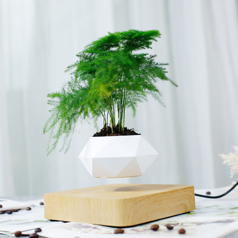 (*Spring Sale*) Air Bonsai Levitating Plant Pot