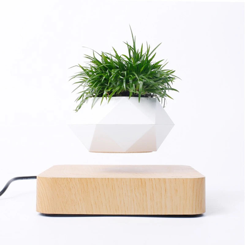 (*Spring Sale*) Air Bonsai Levitating Plant Pot