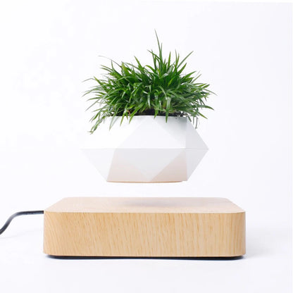 (*Spring Sale*) Air Bonsai Levitating Plant Pot